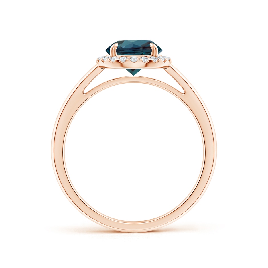 7mm Labgrown Round Lab-Grown Alexandrite Cathedral Ring with Diamond Halo in Rose Gold side 199