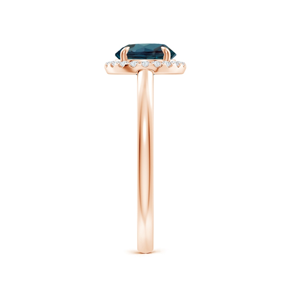 7mm Labgrown Round Lab-Grown Alexandrite Cathedral Ring with Diamond Halo in Rose Gold side 299