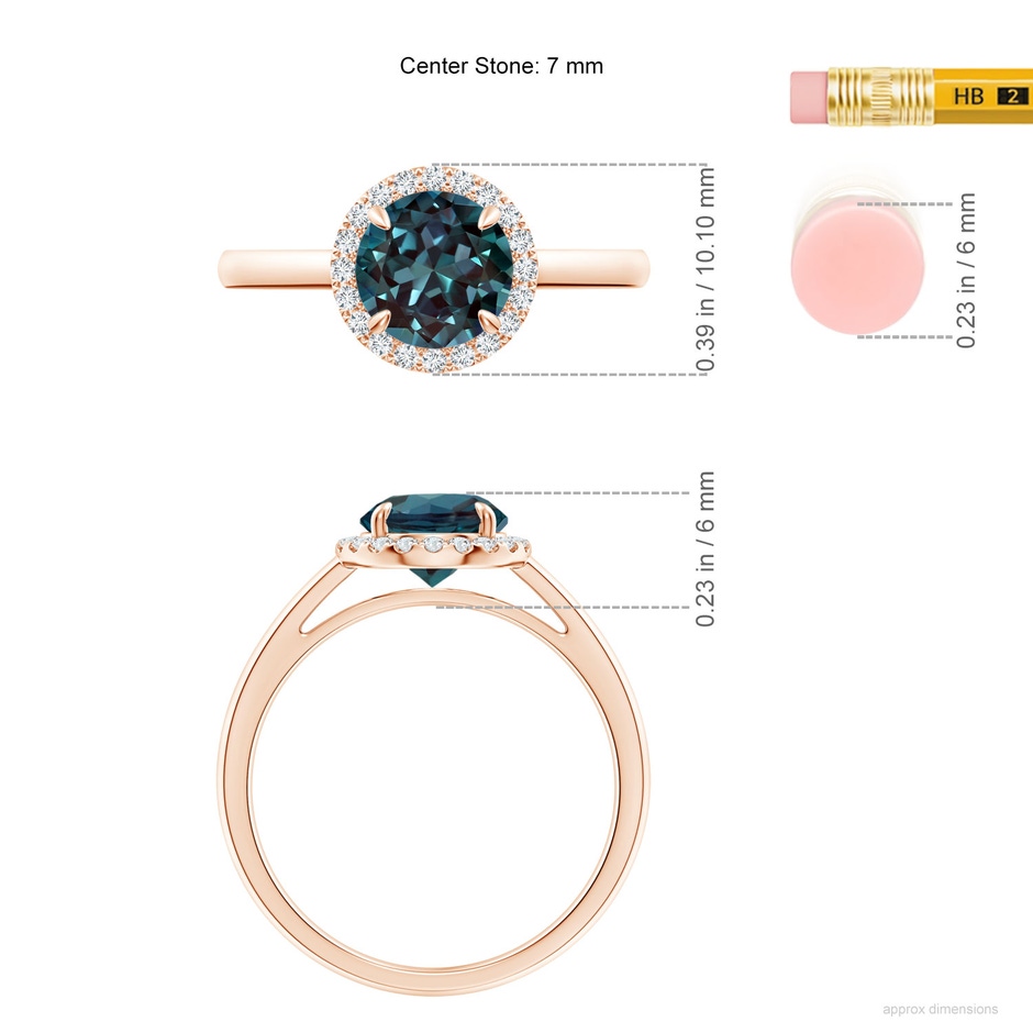 7mm Labgrown Round Lab-Grown Alexandrite Cathedral Ring with Diamond Halo in Rose Gold ruler