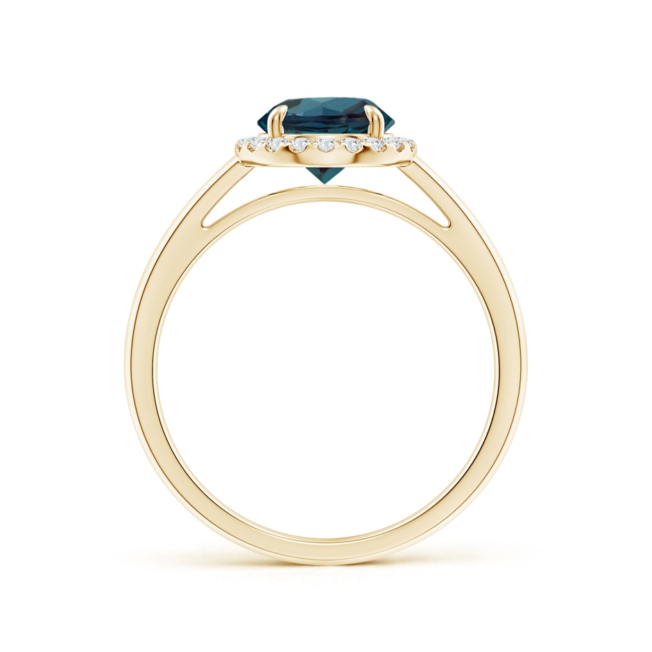 7mm Labgrown Round Lab-Grown Alexandrite Cathedral Ring with Diamond Halo in Yellow Gold side 199