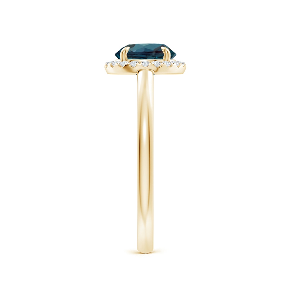 7mm Labgrown Round Lab-Grown Alexandrite Cathedral Ring with Diamond Halo in Yellow Gold side 299