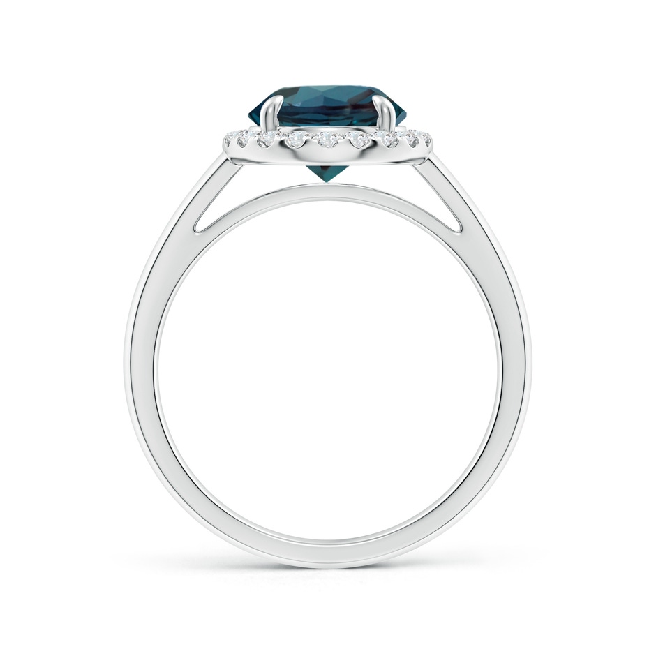 8mm Labgrown Round Lab-Grown Alexandrite Cathedral Ring with Diamond Halo in P950 Platinum side 199