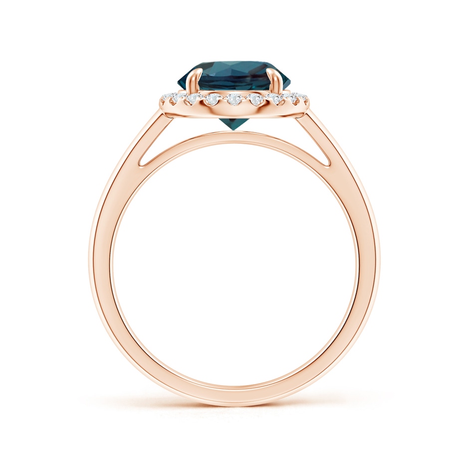 8mm Labgrown Round Lab-Grown Alexandrite Cathedral Ring with Diamond Halo in Rose Gold side 199
