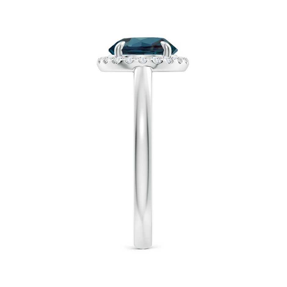 8mm Labgrown Round Lab-Grown Alexandrite Cathedral Ring with Diamond Halo in White Gold side 299