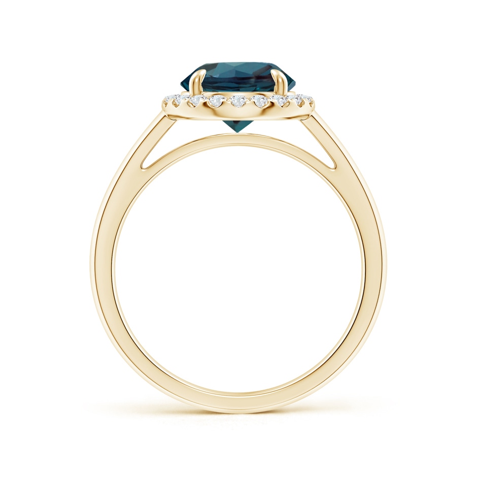 8mm Labgrown Round Lab-Grown Alexandrite Cathedral Ring with Diamond Halo in Yellow Gold side 199