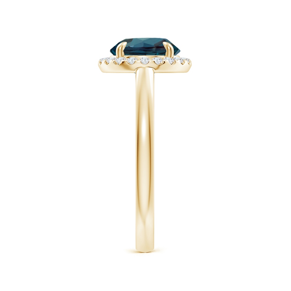 8mm Labgrown Round Lab-Grown Alexandrite Cathedral Ring with Diamond Halo in Yellow Gold side 299