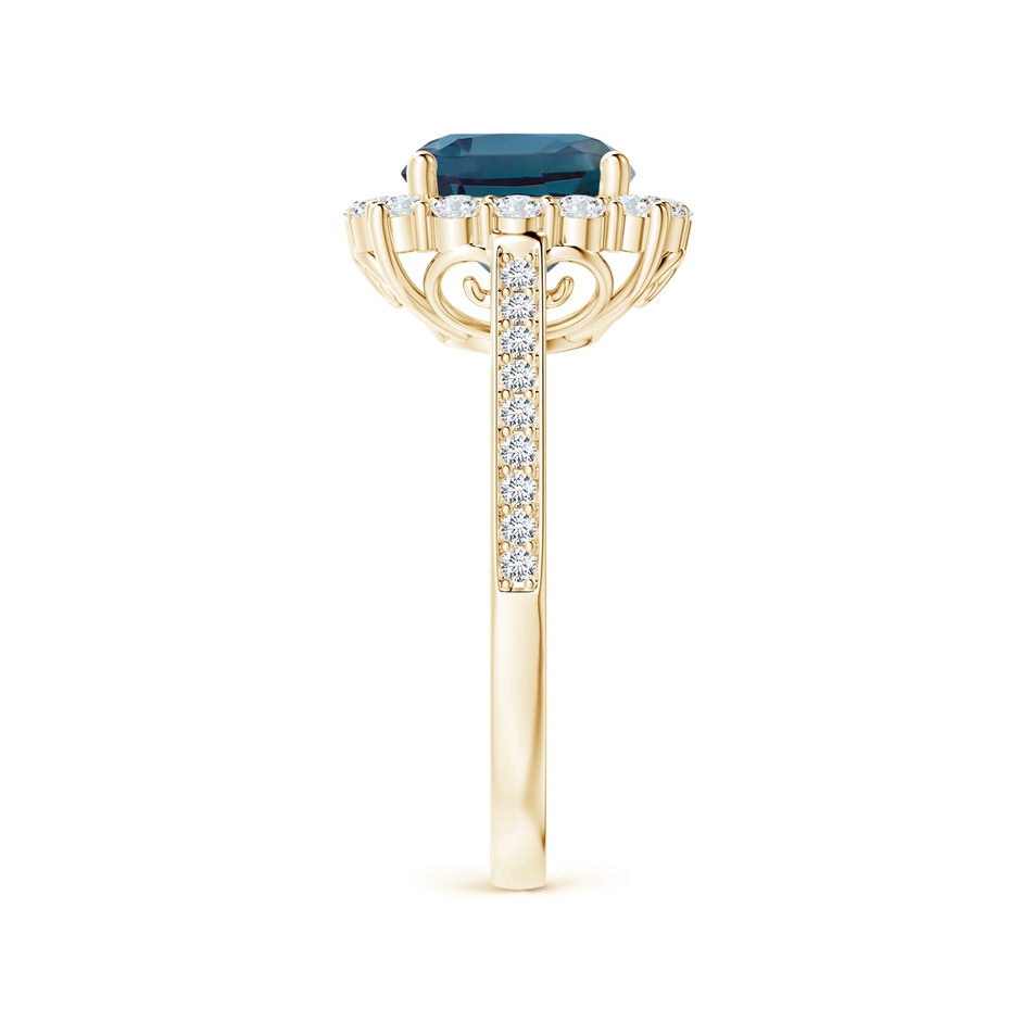 8mm Labgrown Cushion Lab-Grown Alexandrite Cocktail Ring with Diamond Halo in Yellow Gold side 299
