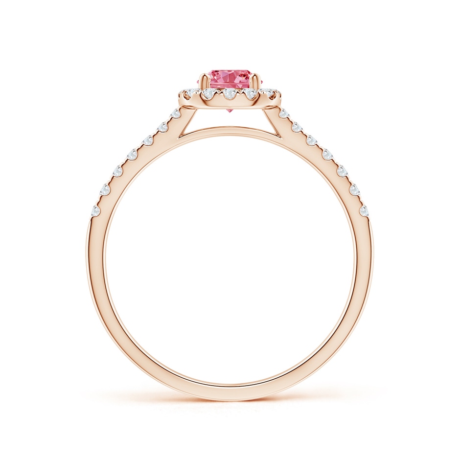 4.5mm Labgrown Round Lab-Grown Fancy Intense Pink Diamond Halo Ring with Accents in Rose Gold side 199