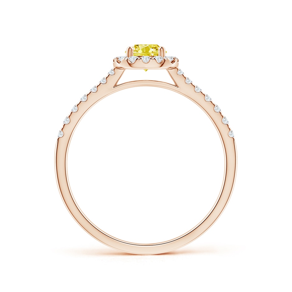 4.5mm Labgrown Round Lab-Grown Fancy Intense Yellow Diamond Halo Ring with Accents in Rose Gold side 199