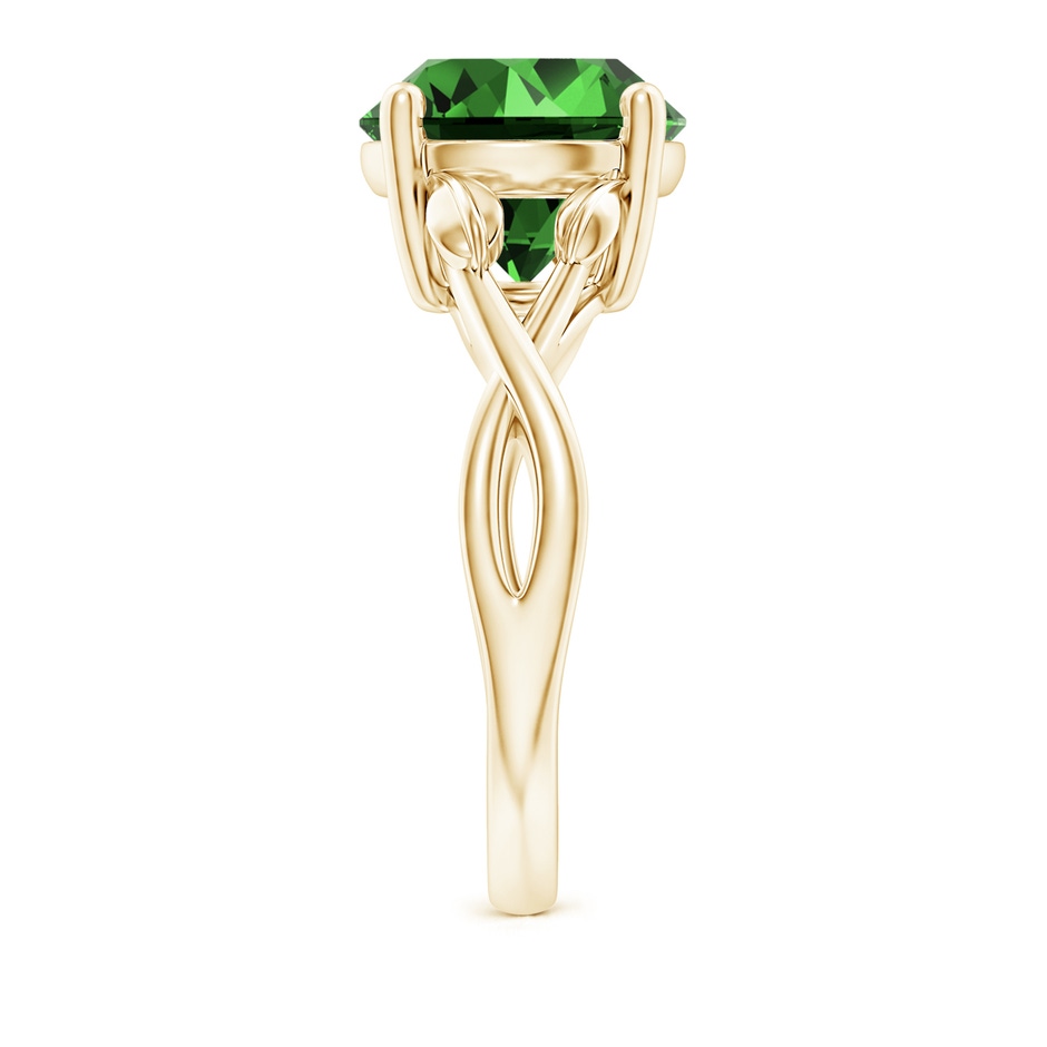 10mm Labgrown Lab-Grown Nature Inspired Emerald Crossover Ring with Leaf Motifs in Yellow Gold side 299