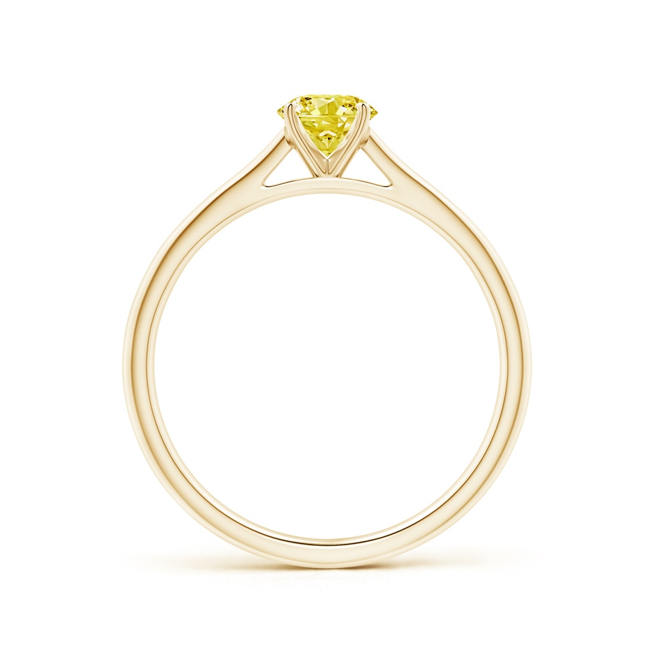 5.1mm Labgrown Round Lab-Grown Fancy Intense Yellow Diamond Tapered Cathedral Solitaire Engagement Ring in Yellow Gold side 199