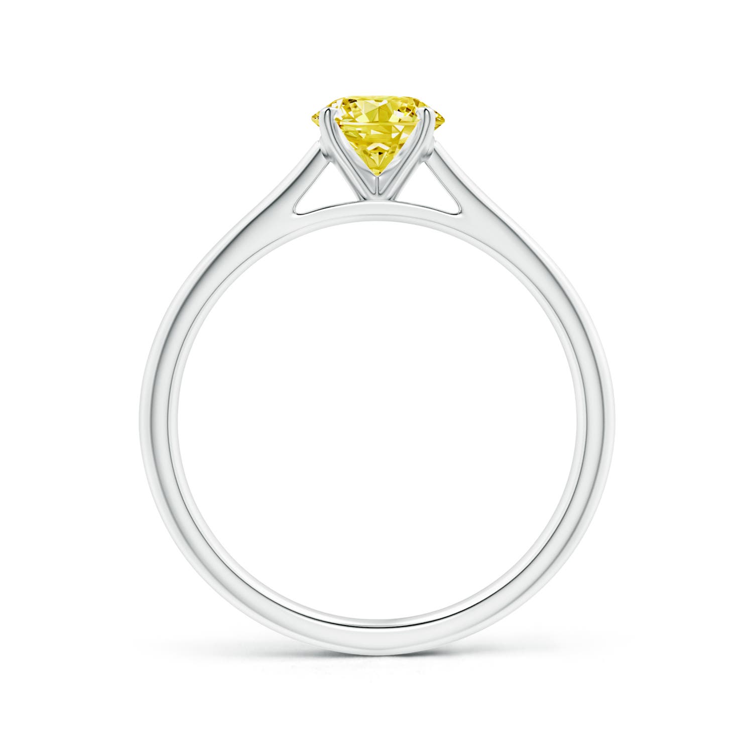 5.9mm Labgrown Round Lab-Grown Fancy Intense Yellow Diamond Tapered Cathedral Solitaire Engagement Ring in White Gold - side 2