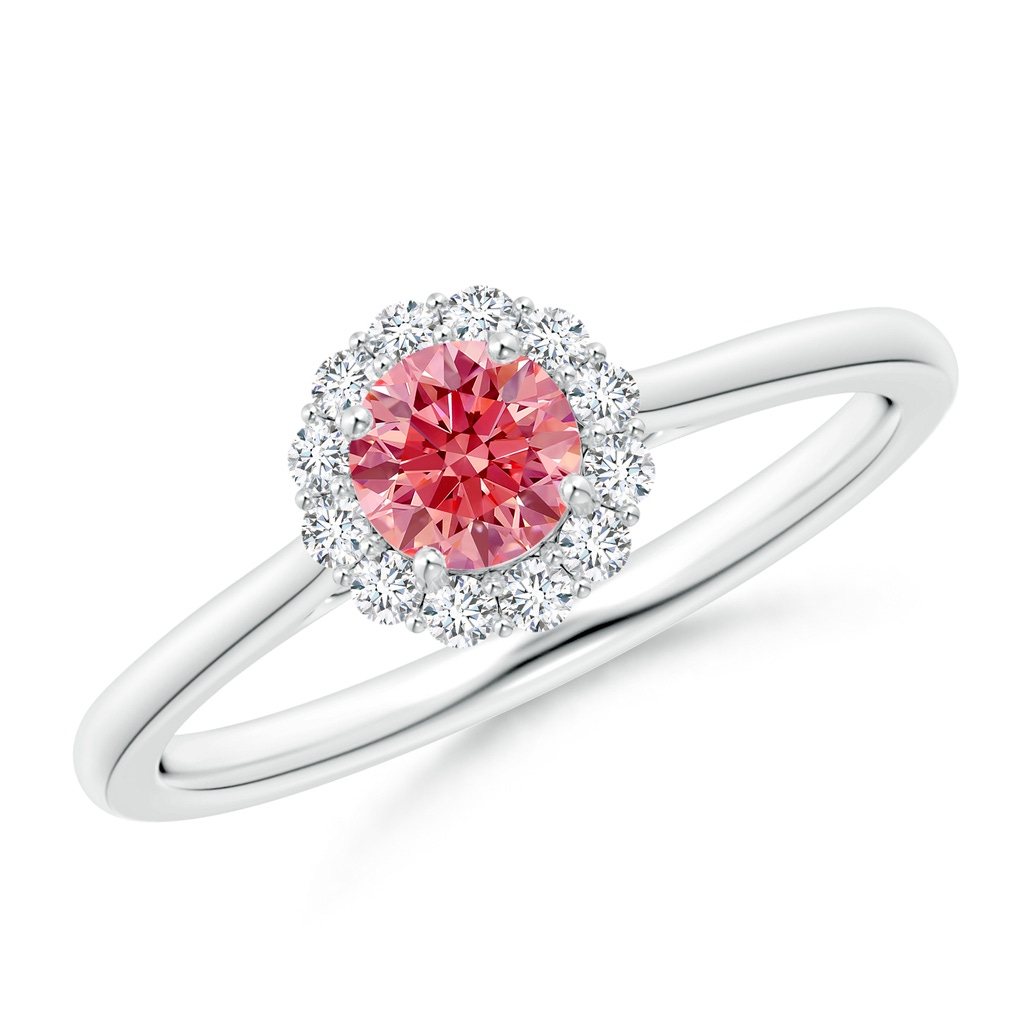 4.5mm Labgrown Classic Round Lab-Grown Fancy Intense Pink Diamond Scalloped Halo Ring in P950 Platinum