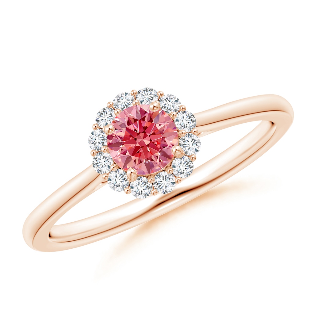 4.5mm Labgrown Classic Round Lab-Grown Fancy Intense Pink Diamond Scalloped Halo Ring in Rose Gold