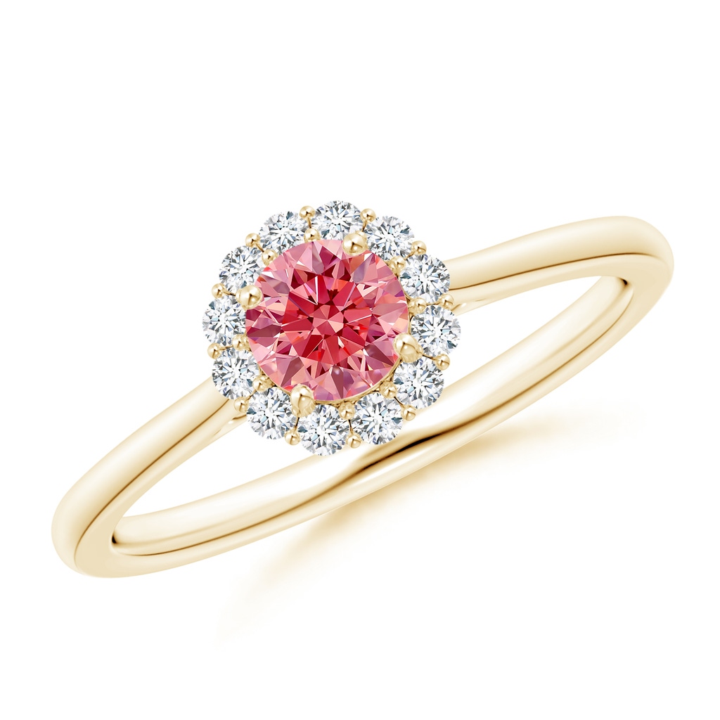 4.5mm Labgrown Classic Round Lab-Grown Fancy Intense Pink Diamond Scalloped Halo Ring in Yellow Gold