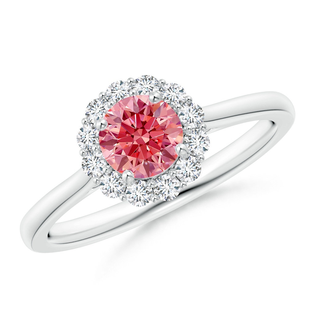 5.2mm Labgrown Classic Round Lab-Grown Fancy Intense Pink Diamond Scalloped Halo Ring in White Gold