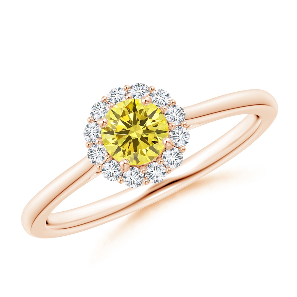 4.5mm Labgrown Classic Round Lab-Grown Fancy Intense Yellow Diamond Scalloped Halo Ring in Rose Gold