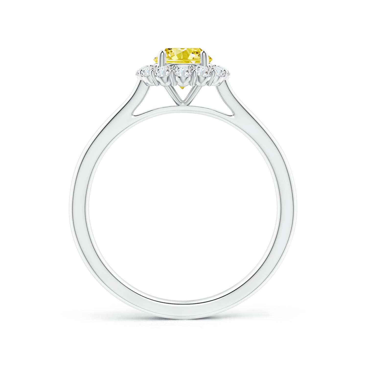 5.2mm Labgrown Classic Round Lab-Grown Fancy Intense Yellow Diamond Scalloped Halo Ring in White Gold - side 2