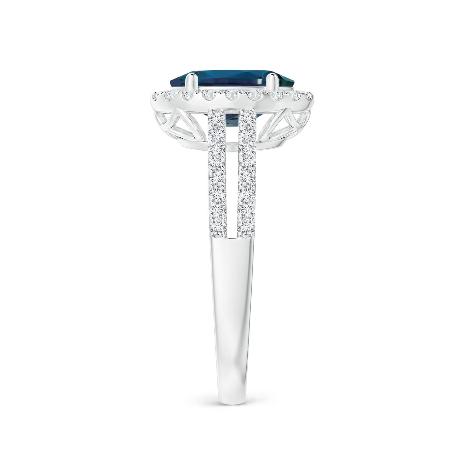9x7mm Labgrown Oval Lab-Grown Alexandrite Split Shank Halo Ring with Diamonds in White Gold - side 4