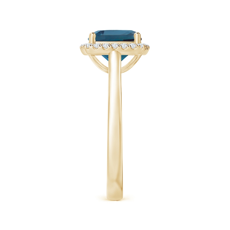 8mm Labgrown Classic Cushion Lab-Grown Alexandrite Halo Engagement Ring in Yellow Gold side 299