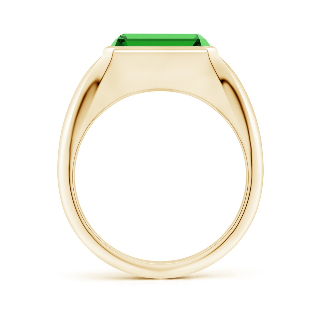 10x8mm Labgrown Lab-Grown Emerald-Cut Emerald Signet Ring in Yellow Gold - side 199