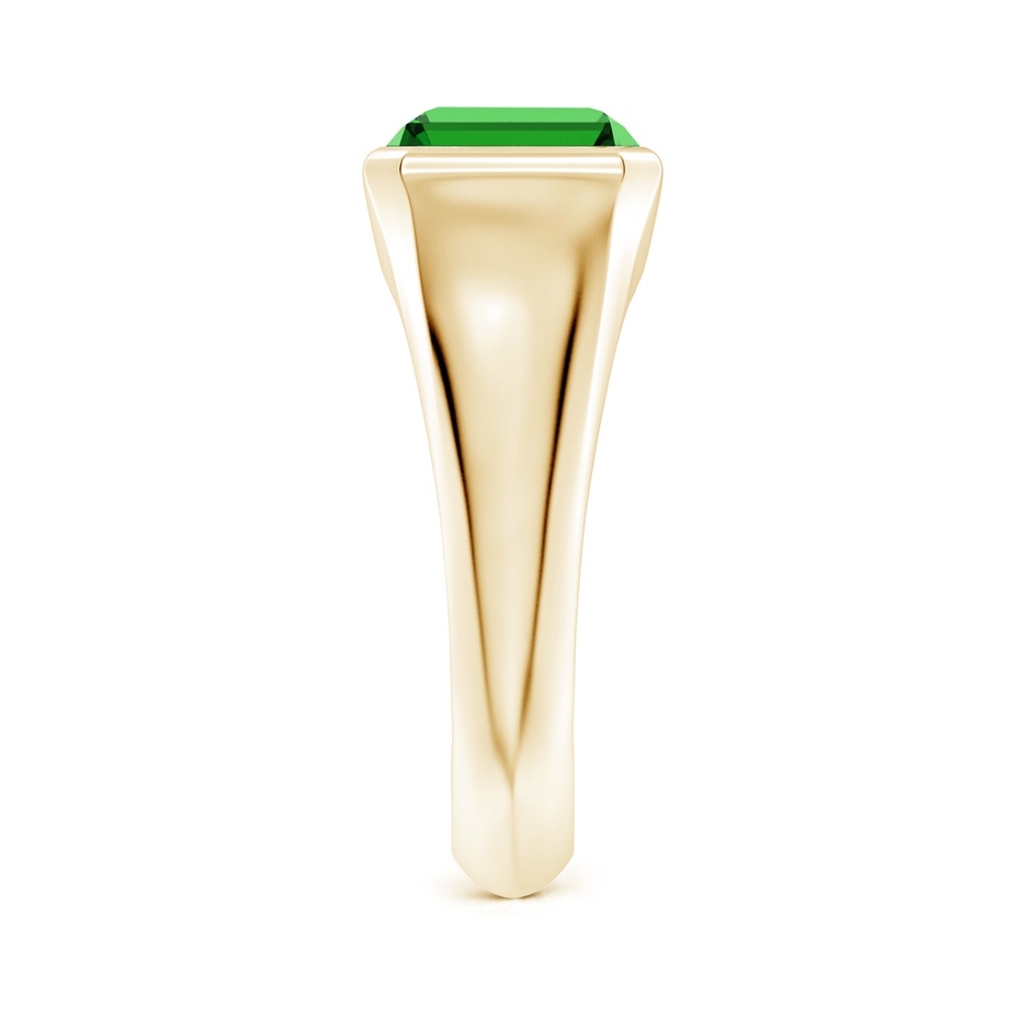 10x8mm Labgrown Lab-Grown Emerald-Cut Emerald Signet Ring in Yellow Gold side 299