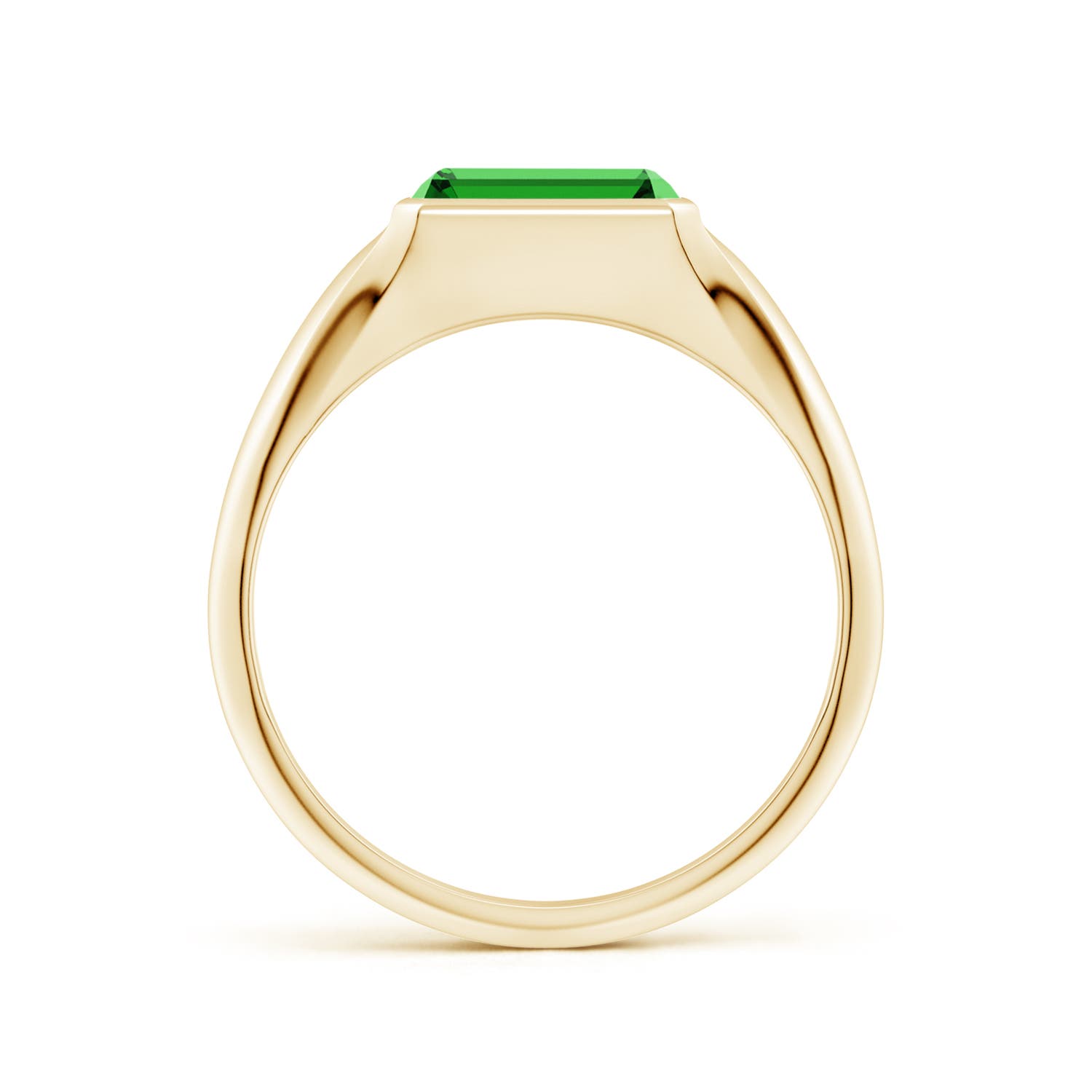 8x6mm Labgrown Lab-Grown Emerald-Cut Emerald Signet Ring in Yellow Gold - side 3