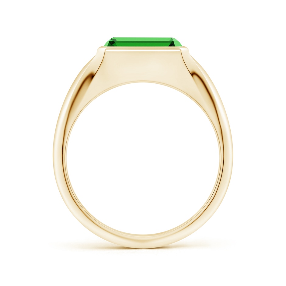 9x7mm Labgrown Lab-Grown Emerald-Cut Emerald Signet Ring in Yellow Gold side 199