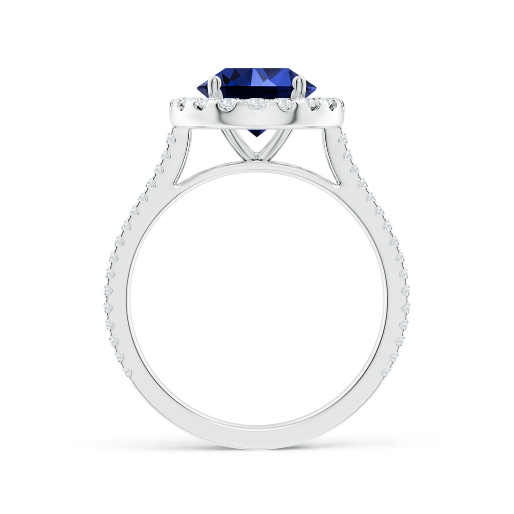 8mm Labgrown Lab-Grown Round Blue Sapphire Halo Ring with Diamond Accents in White Gold Side 199