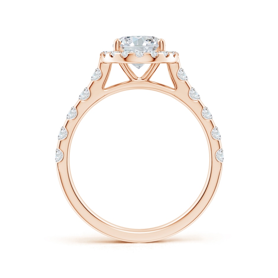 8.5x6.5mm FGVS Lab-Grown Oval Diamond Halo Engagement Ring in 18K Rose Gold side 199