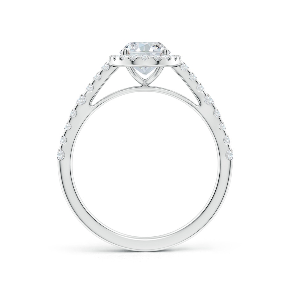 7.7x5.7mm FGVS Lab-Grown Oval Diamond Station Halo Engagement Ring in P950 Platinum side 199