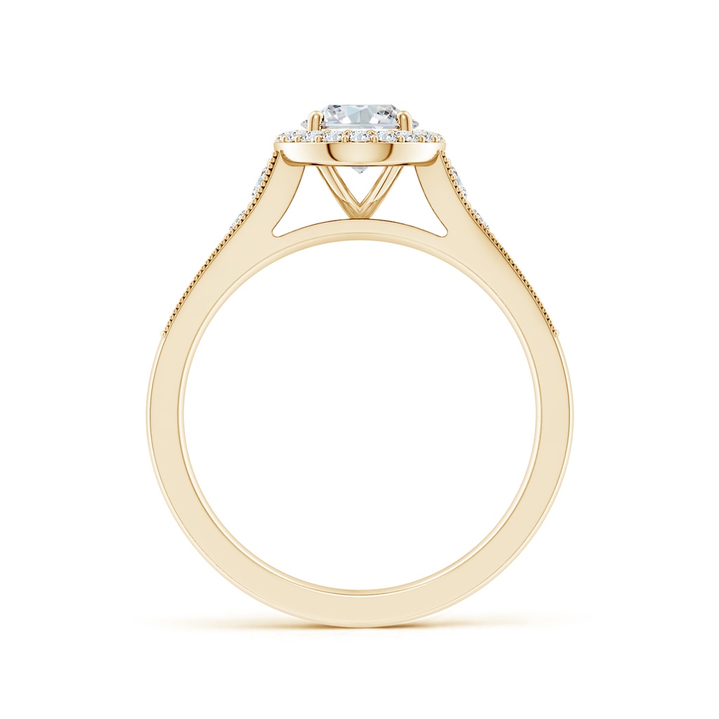 7.7x5.7mm FGVS Lab-Grown Oval Diamond Halo Engagement Ring with Milgrain in 18K Yellow Gold - side 199