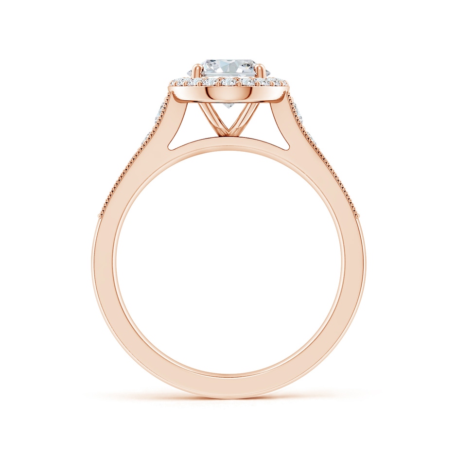 8.5x6.5mm FGVS Lab-Grown Oval Diamond Halo Engagement Ring with Milgrain in Rose Gold side 199