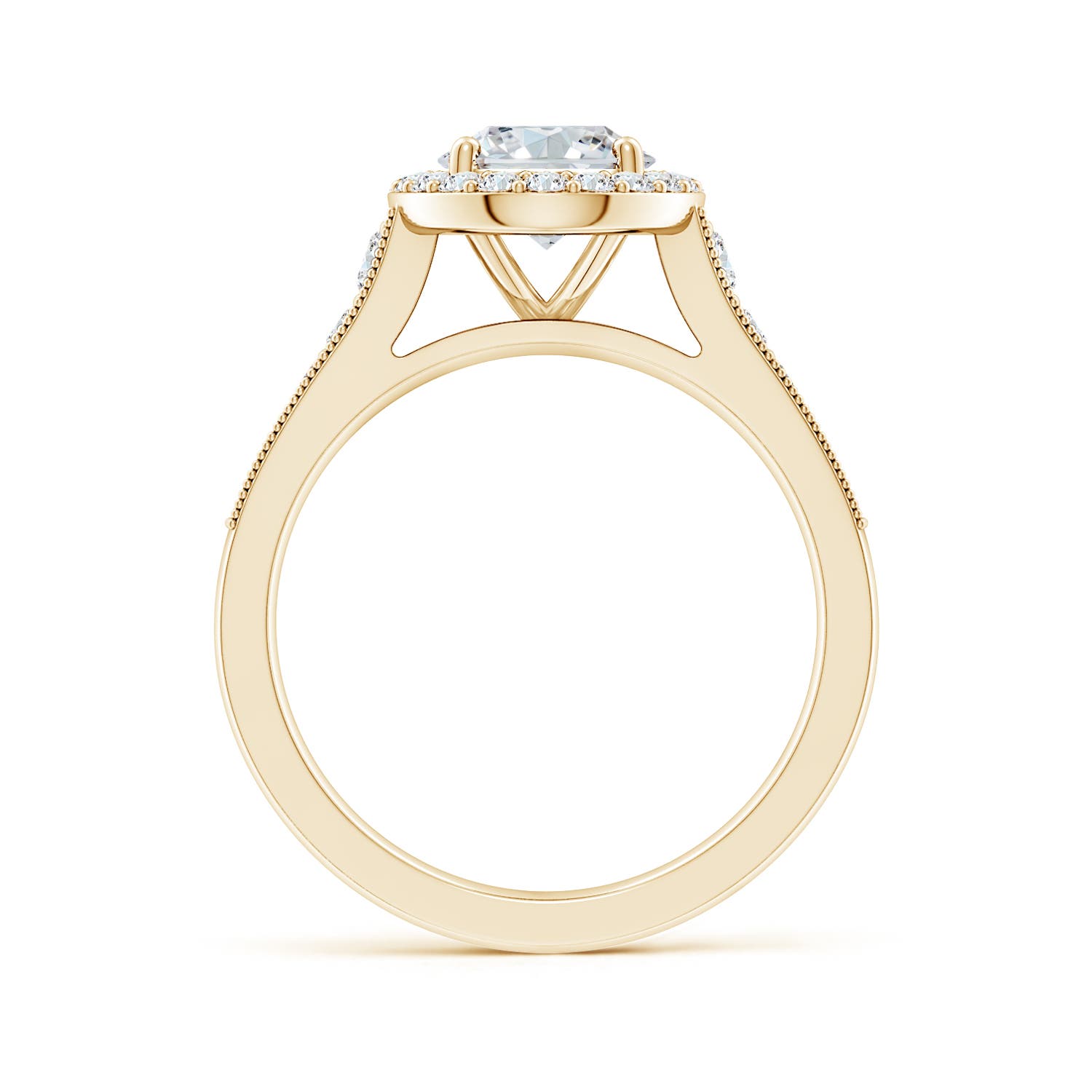9x7mm FGVS Lab-Grown Oval Diamond Halo Engagement Ring with Milgrain in Yellow Gold - side 3