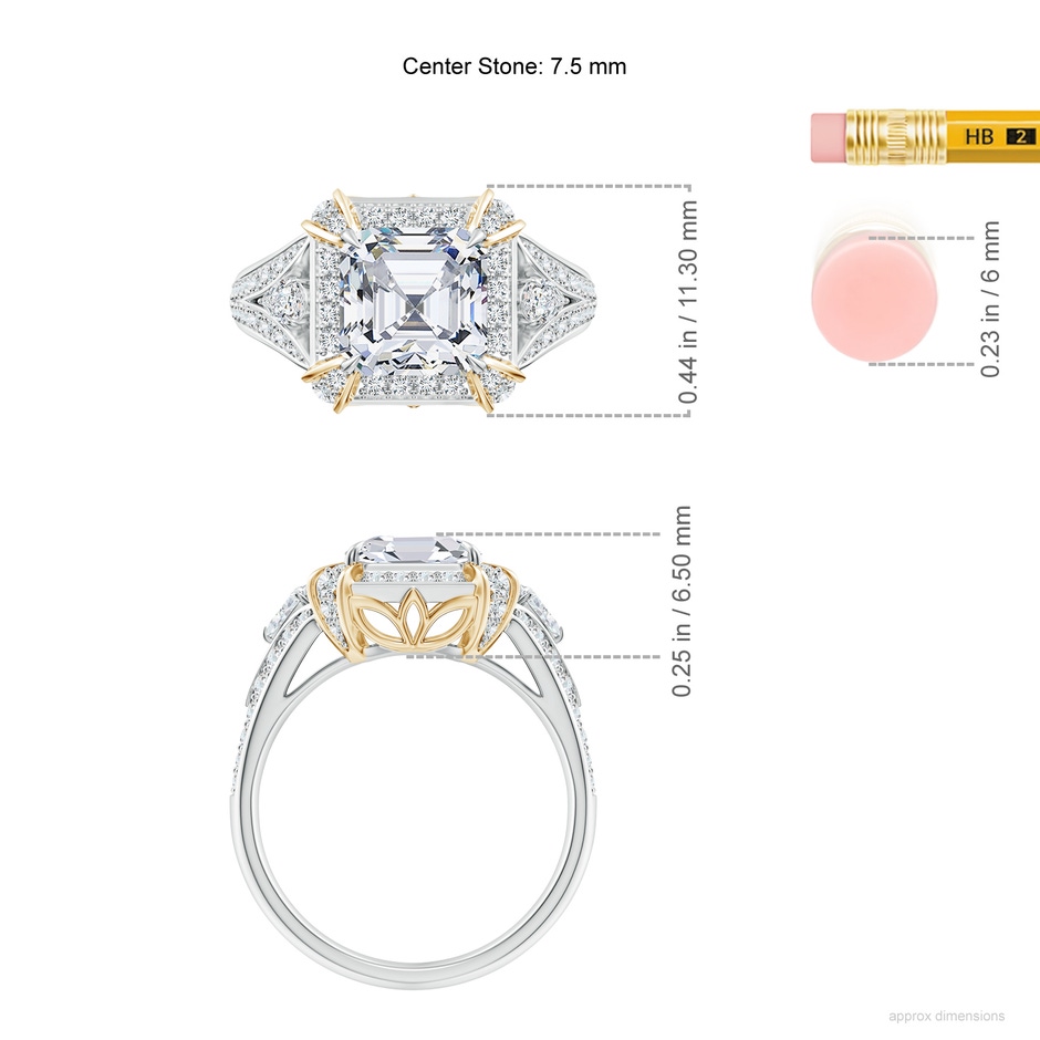 7.5mm FGVS Asscher-Cut Lab-Grown Diamond Split Shank Halo Cocktail Ring in White Gold Yellow Gold ruler