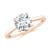 2 carats
