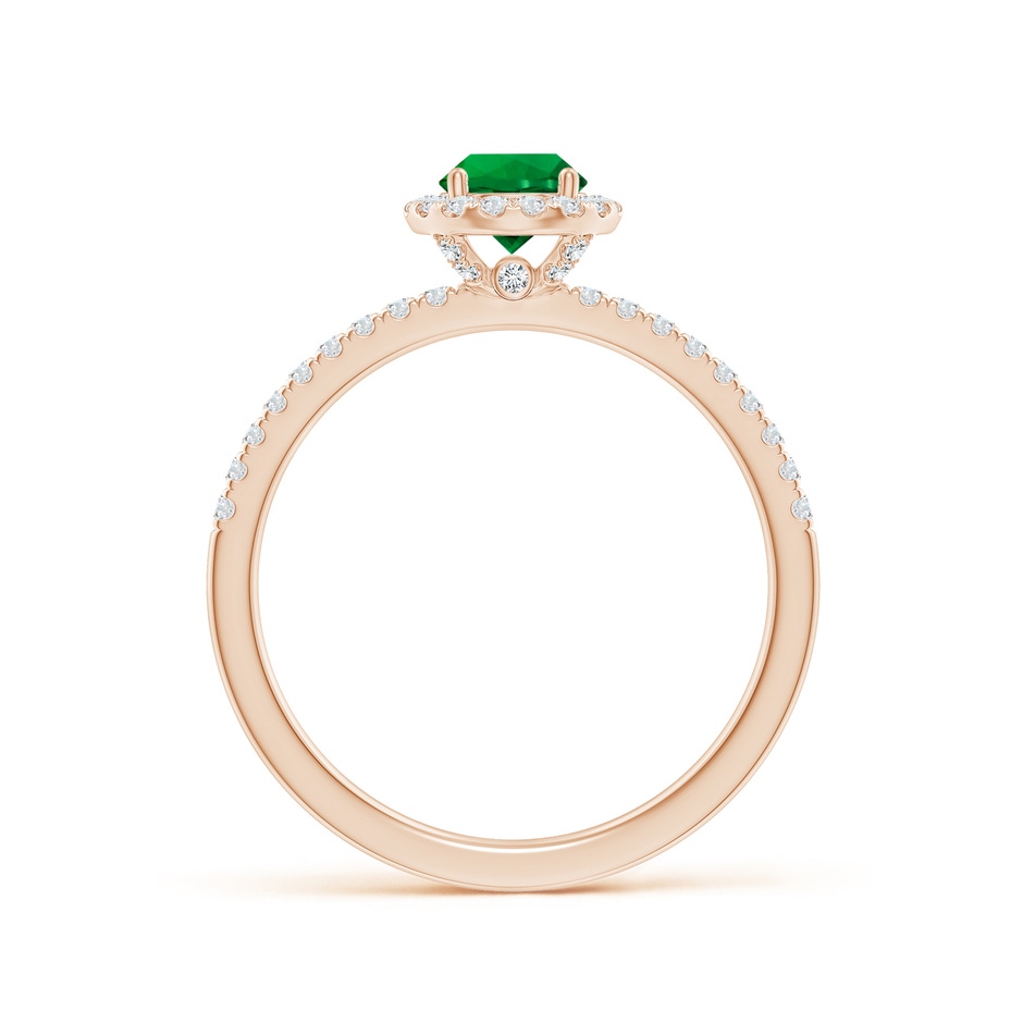 5mm Labgrown Lab-Grown Round Emerald Classic Halo Engagement Ring in Rose Gold side 199