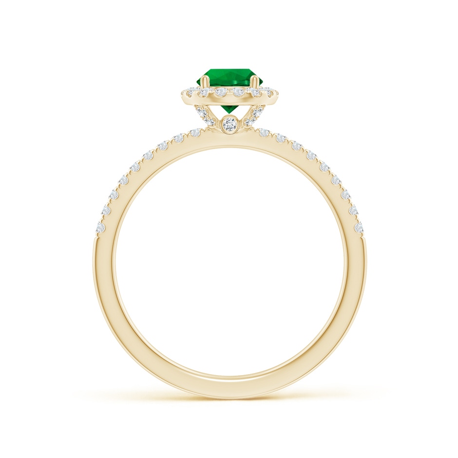 5mm Labgrown Lab-Grown Round Emerald Classic Halo Engagement Ring in Yellow Gold side 199