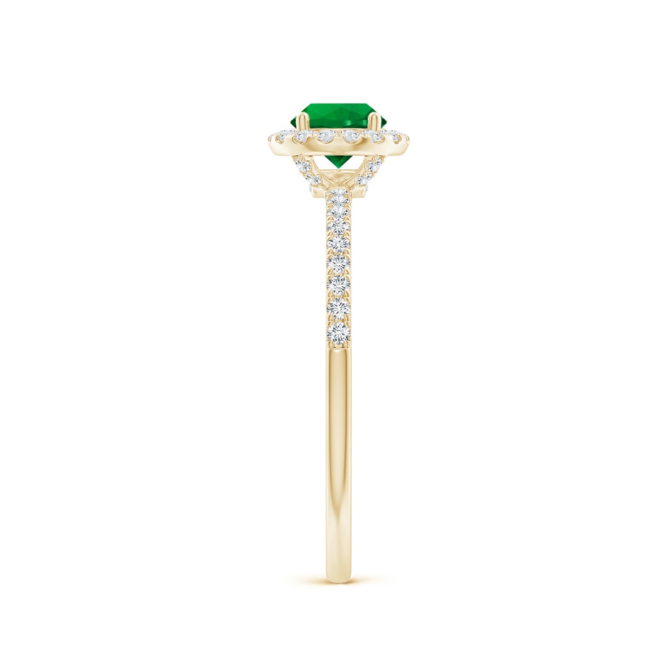 5mm Labgrown Lab-Grown Round Emerald Classic Halo Engagement Ring in Yellow Gold side 299