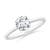 3/4 carat
