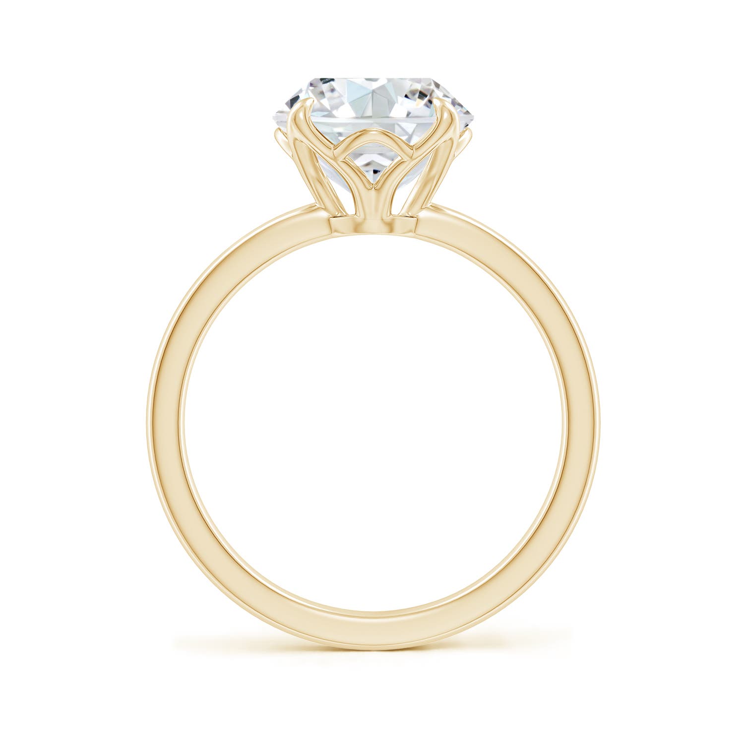 F-G, VS / 3 CT / 14 KT Yellow Gold