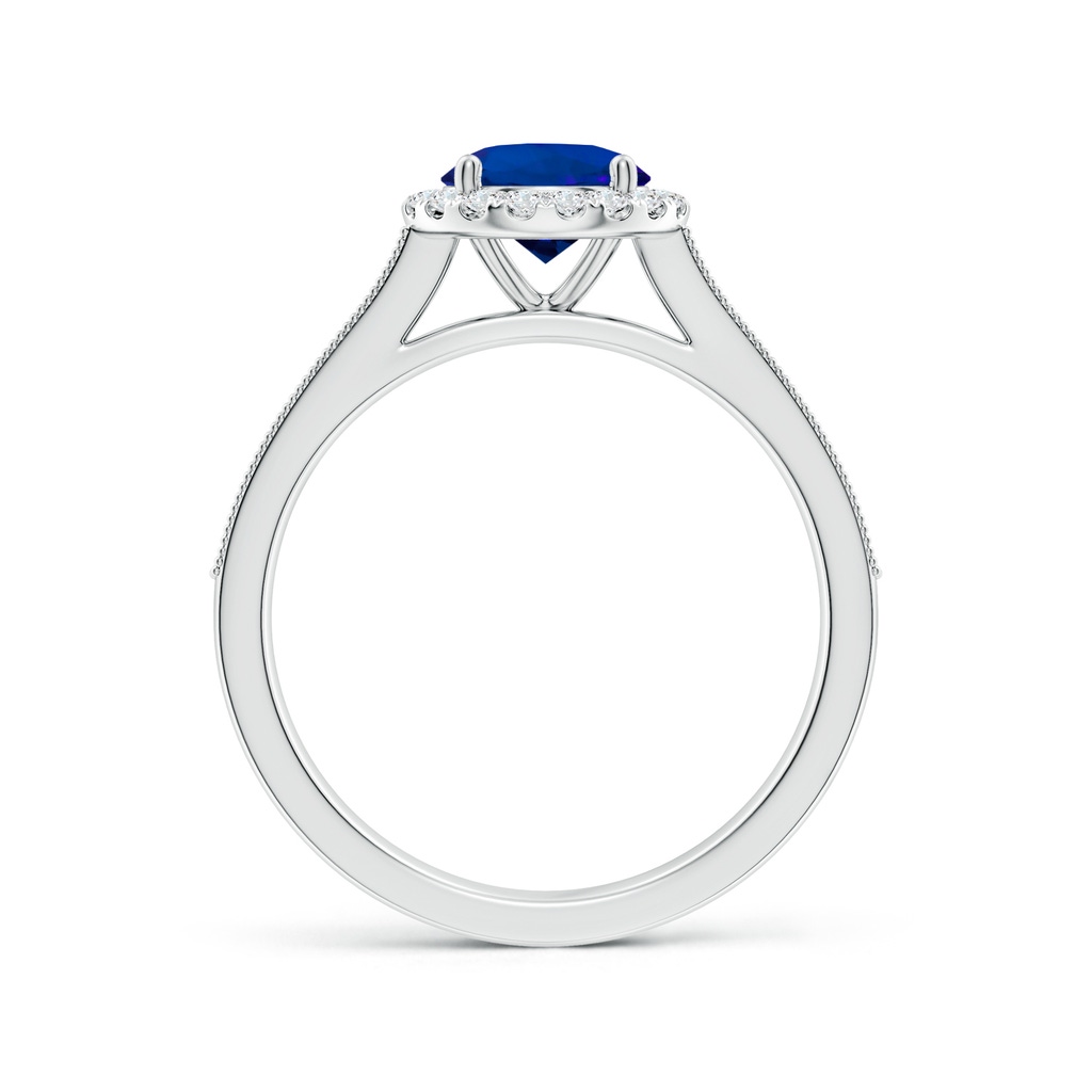 6.5mm Labgrown Lab-Grown Round Blue Sapphire Reverse Tapered Shank Halo Engagement Ring in White Gold Side 199
