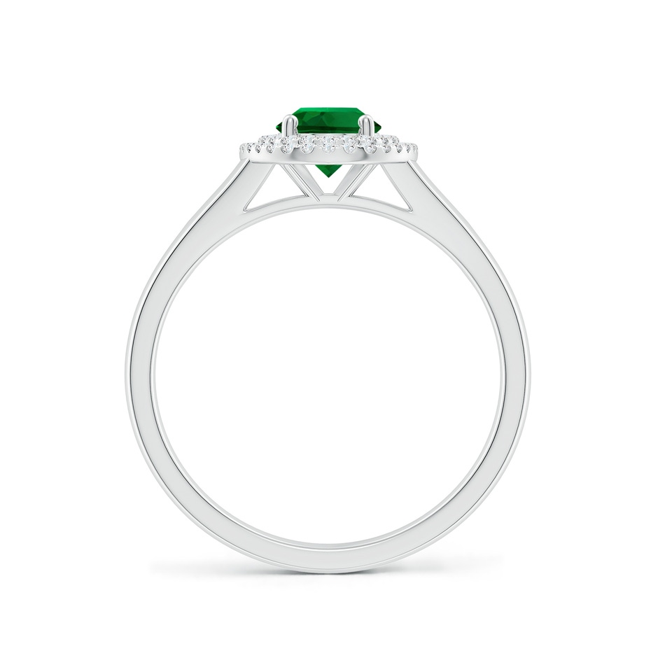 7x5mm Labgrown Lab-Grown Oval Emerald Double Halo Engagement Ring in White Gold side 199