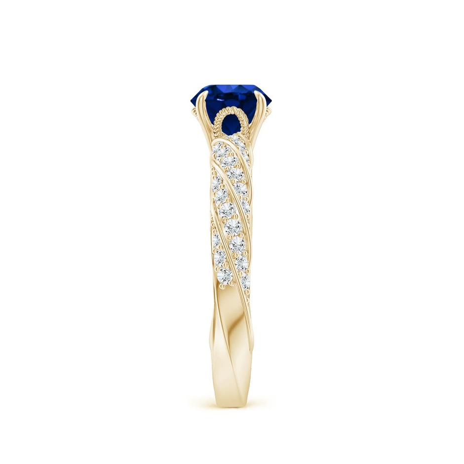 6mm Labgrown Round Lab-Grown Blue Sapphire Twisted Rope Shank Engagement Ring in Yellow Gold side 299