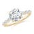 2 5/8 carats