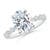 2 2/3 carats