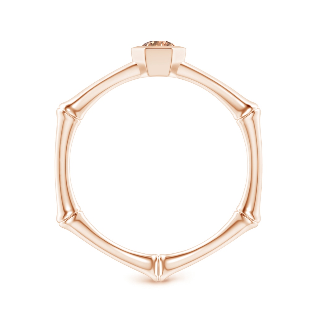 3mm AA Natori x Angara Coffee Diamond Indochine Bamboo Ring in Rose Gold - side 199
