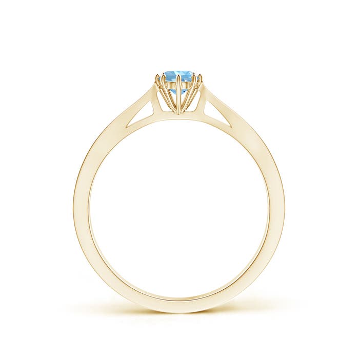 AAAA - Aquamarine / 0.21 CT / 14 KT Yellow Gold