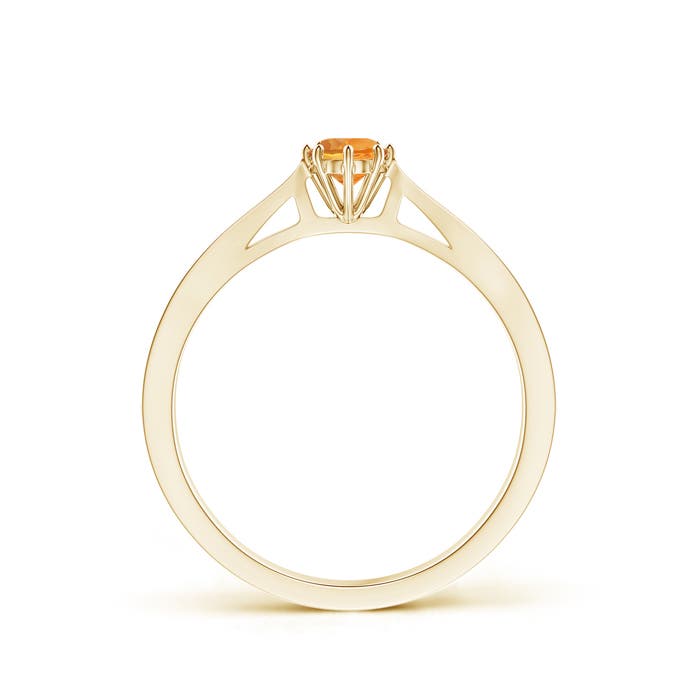 AAA - Citrine / 0.24 CT / 14 KT Yellow Gold