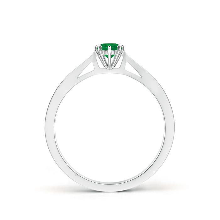 AA - Emerald / 0.25 CT / 14 KT White Gold